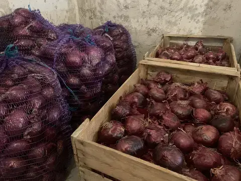Сорти