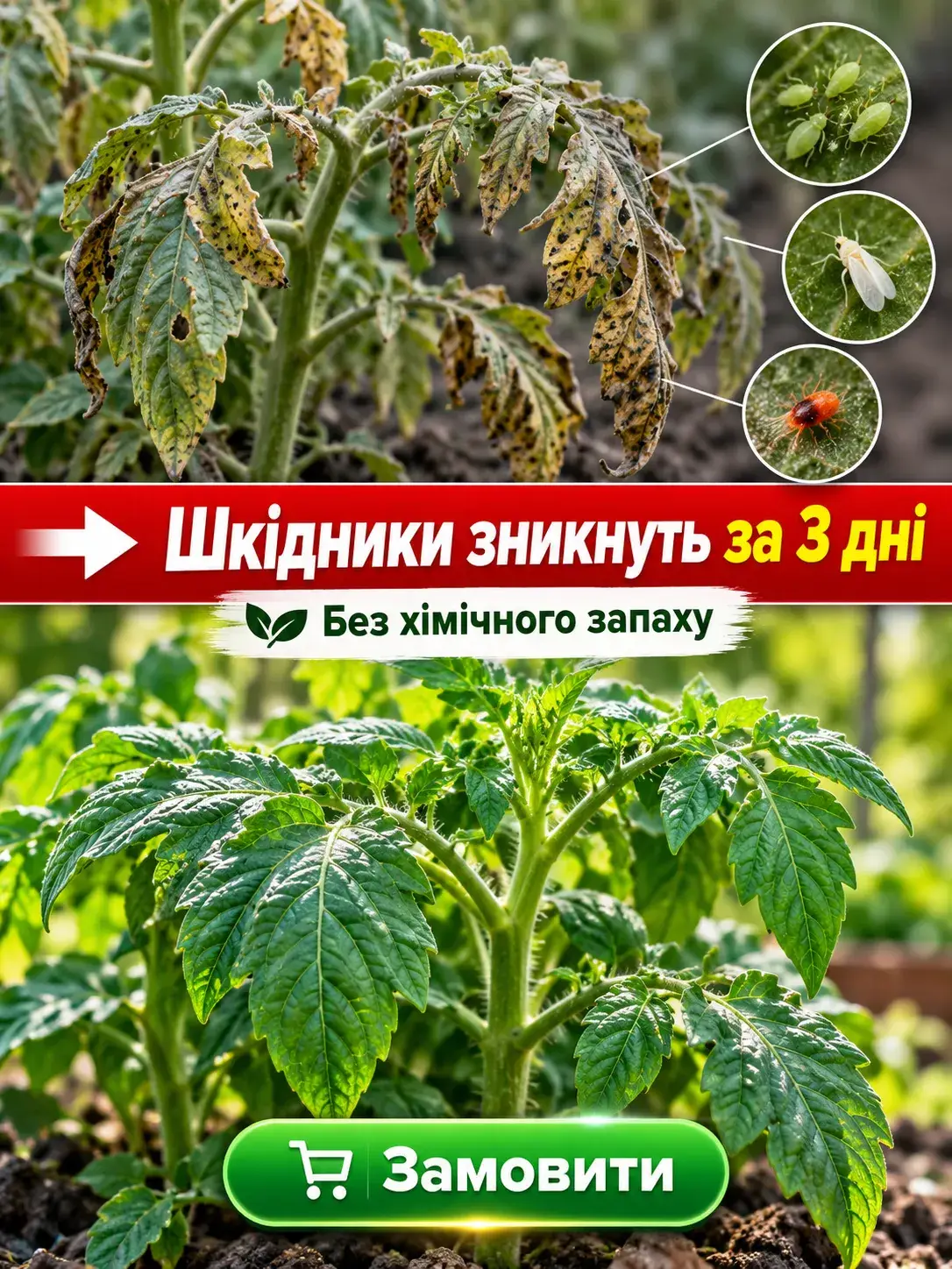 Банер