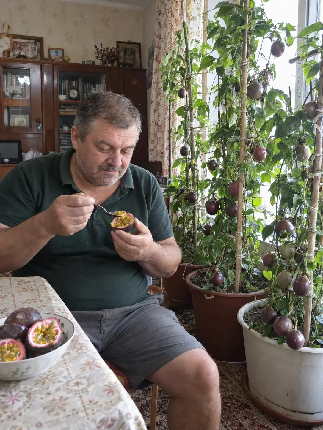 Ліана маракуї обвиває опору